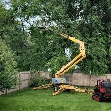 Artificial Turf Installation in Loughman, FL